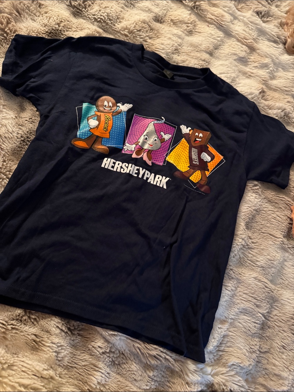 Navy Kids Graphic T-Shirt with Hershey Park Candy Characters
